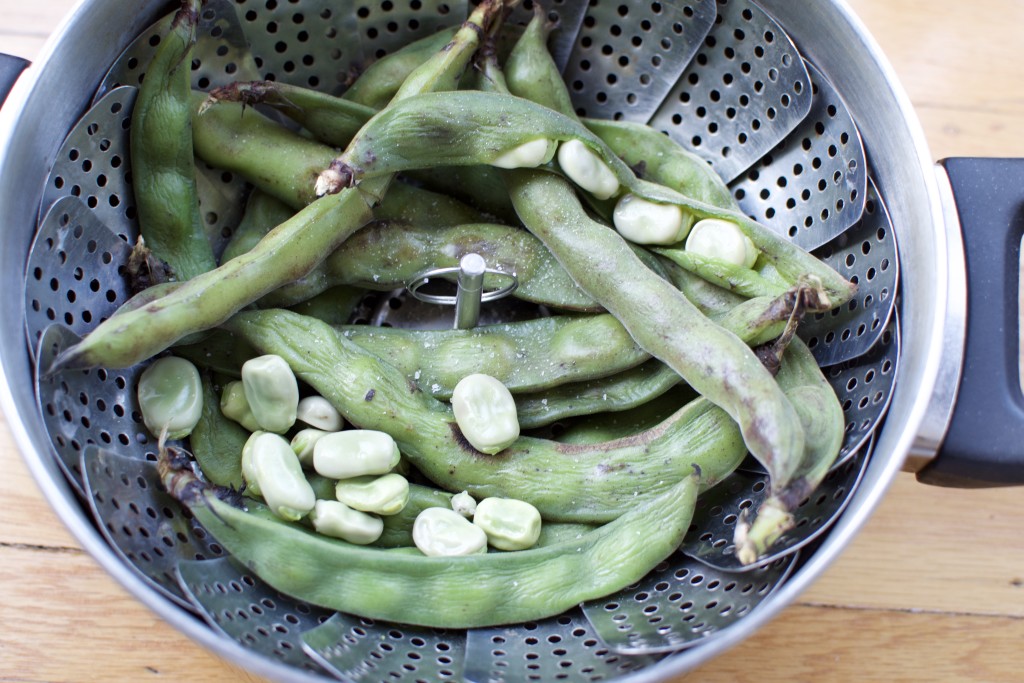 Pot of steamed Fava beans | BeatsEats.com