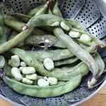 Pot of steamed Fava beans | BeatsEats.com