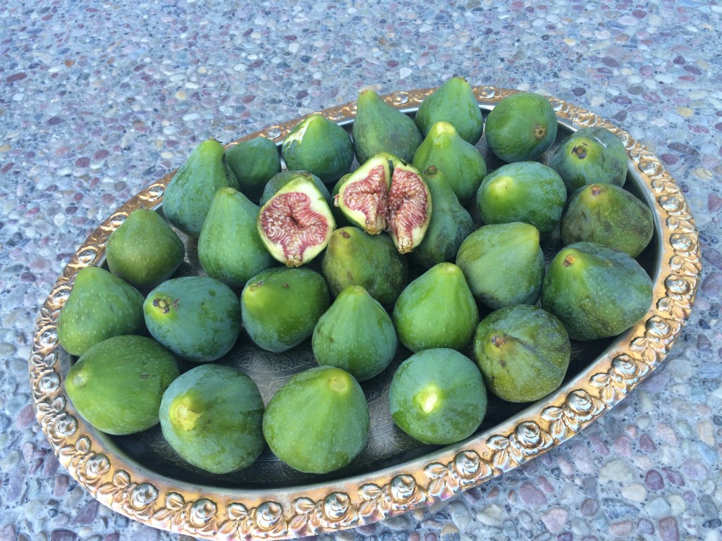 Fresh Green Figs for Persian Jam 